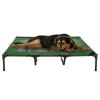 Elevated Green Dog Bed