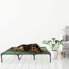 Elevated Green Dog Bed